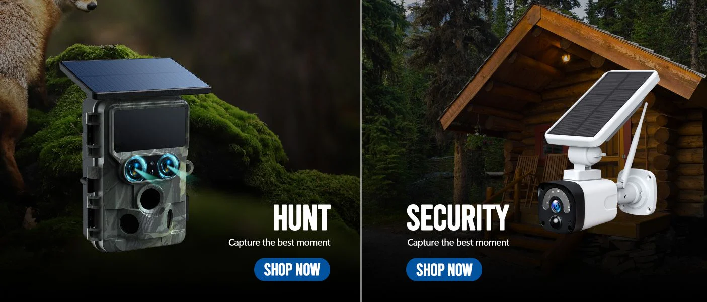 Capture Every Wild Moment